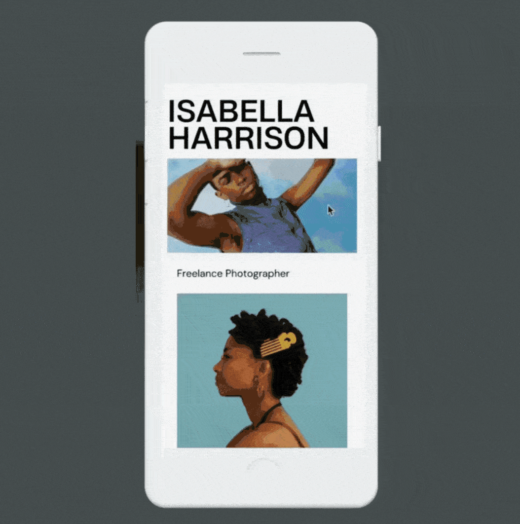 Digital Illustration